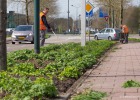 180406_GreentoColour-onderhoud-4