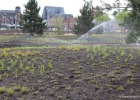 200429_watergeven-Helmond-2