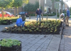 Greentocolour_Burgerparticipatie_GemZuidplas_DeLepelaar (04)