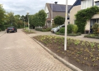 Greentocolour_Burgerparticipatie_GemZuidplas_DeLepelaar (15)