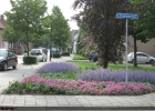 09a_Green-to-Colour_Kapelstraat_na