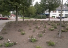 07b_GreentoColour_woonwijk_voor_201107