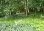 Green-to-Colour_Onder_de_bomen (05)