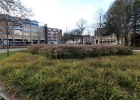 GreentoColour_20140106_Parken (1)