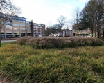 GreentoColour_20140106_Parken (1)