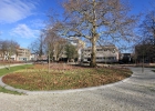 GreentoColour_20140211_Parken (1)