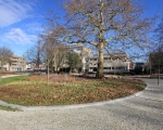 GreentoColour_20140211_Parken (1)