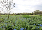 GreentoColour_20140407_Parken (3)