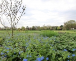 GreentoColour_20140407_Parken (3)