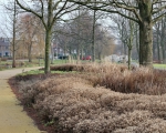 GreentoColour_20150107_buurtpark