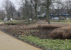 GreentoColour_20150211_buurtpark