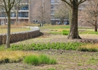 GreentoColour_20150408_buurtpark