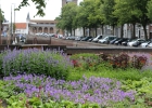 GreentoColour_20160717_stadspark (2)