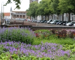 GreentoColour_20160717_stadspark (2)