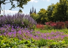 GreentoColour_20160815_stadspark (3)