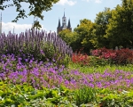 GreentoColour_20160815_stadspark (3)