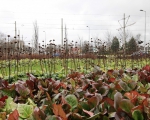GreentoColour_20140207_rotonde_groot (2)