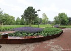 140604_verhoogd_plantvak