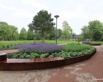 140604_verhoogd_plantvak