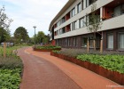 140812_verhoogd_plantvak