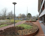 150212_verhoogd_plantvak