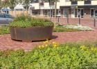 210916_verhoogd_plantvak-3