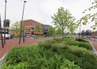 Green-to-Colour_VerhoogdePlantvakken_stationsplein (01)