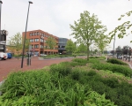 Green-to-Colour_VerhoogdePlantvakken_stationsplein (01)