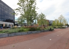 Green-to-Colour_VerhoogdePlantvakken_stationsplein (04)