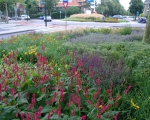 Green-to-Colour_Verkeersgeleiders (01)