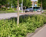 Green-to-Colour_Verkeersgeleiders (08)