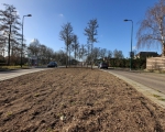 GreentoColour_20150310_verkeersgeleider (2)