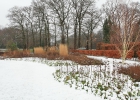 Green-to-Colour_Winterbeeld (18)