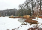 Green-to-Colour_Winterbeeld (19)