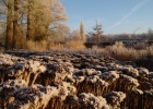 GreentoColour_winterbeeld_170118 (1)