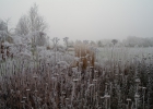 GreentoColour_winterbeeld_170118 (13)