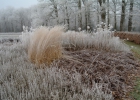 GreentoColour_winterbeeld_170118 (14)