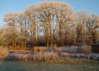 GreentoColour_winterbeeld_170118 (15)