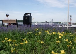 Green-to-Colour: Maasbracht, Havenstraat - Jonkers hoveniers