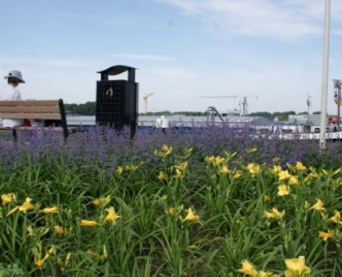 Green-to-Colour: Maasbracht, Havenstraat - Jonkers hoveniers