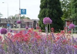 Green-to-Colour: Zuid-Swalmen, Rijksweg - Jonkers Hoveniers