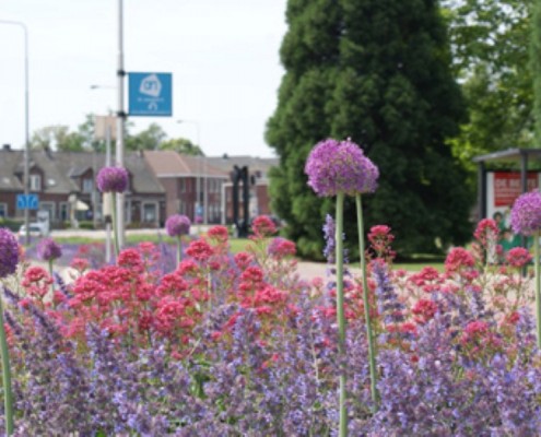 Green-to-Colour: Zuid-Swalmen, Rijksweg - Jonkers Hoveniers