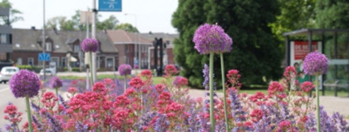 Green-to-Colour: Zuid-Swalmen, Rijksweg - Jonkers Hoveniers