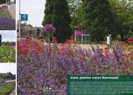 september 2014 – Stad+Groen #5: “Vaste planten sieren Roermond!”