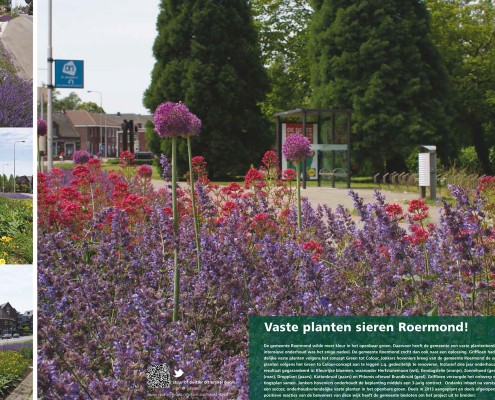 september 2014 – Stad+Groen #5: “Vaste planten sieren Roermond!”