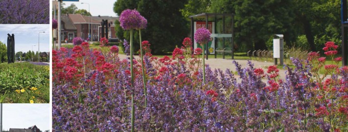 september 2014 – Stad+Groen #5: “Vaste planten sieren Roermond!”