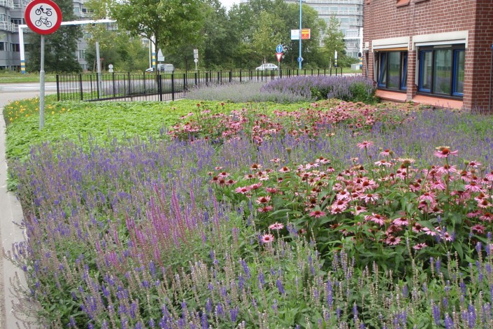 border - augustus 2011