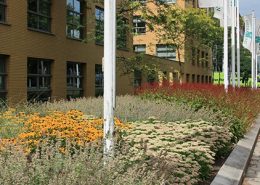 Green-to-Colour-Beplanting-in-grote-of-kleine-vakken_2