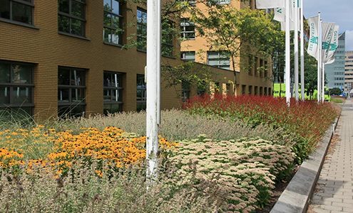 Green-to-Colour-Beplanting-in-grote-of-kleine-vakken_2